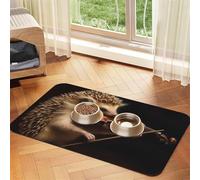 Animal Hedgehog Music Violin Dog Food Mats for Floors, 16x24 Inch Non-Slip Super Absorbent Pet Food Mat, Dishwasher Dog Mat for Food and Water, Cute Quick Dry Pet Feeding Mat for Dogs Puppy Cats