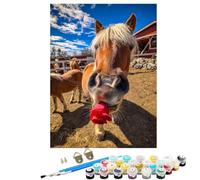 Animal Horse Paint by Numbers for Children, 12 x 16 in Large Paint by Numbers for Adults, DIY Oil Paintings Crafts Hobbies for Women Gifts With Brushes and Acrylic Pigment Home Wall Decor BJHWK719