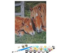 Animal Horse Paint by Numbers for Children, 24x32 inch Large Paint by Numbers for Adults, DIY Oil Paintings Crafts Hobbies for Women Gifts With Brushes and Acrylic Pigment Home Wall Decor BJHWK912