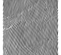 Animal Hospital - Fatique [VINYL]