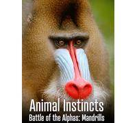 Animal Instincts - Battle of the Alphas: Mandrills