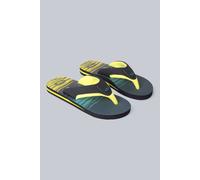 Animal Jekyl Lightweight Flip Flop in Teal | Size: 10 Animal Teal 10