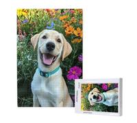 Animal Jigsaw Puzzles for Adults 6000 Piece, Dog Puzzles for Adults Wooden, Funny/Difficult/Impossible/Challenging Decompression Games, As a Birthday for Women and Men ML-1582