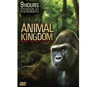 Animal Kingdom: Instincts and Habits in the Wild