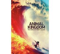 ANIMAL KINGDOM: THE COMPLETE FOURTH SEASON
