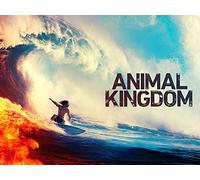 Animal Kingdom: The Complete Fourth Season