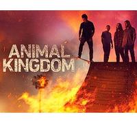 Animal Kingdom: The Complete Sixth Season