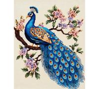 Animal Latch Hook Rug Kit Peacock And Flowers Latch Hook Rug Set Rugs Knotting Cross Stitch Set For Beginners And Adults Rug Making Tool Kit 21x29in
