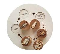 Animal Life Board Puzzle - Fun Educational Wooden Jigsaw, Compact Size with Colorful Animal Graphics, Sturdy Material Construction, Engaging Interactive Game, For Kids Preschool Holidays