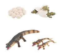 Animal Life Cycle Educational Toy, With Detailed Crocodile Growth Stage Figurines Set, Interactive Science Learning Model Kit, Biology Teaching Aid, For Kids Boys Girls Preschool Kindergart