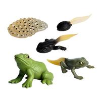 Animal Life Cycle Figure - PP | Moon Moth Butterfly Turtle Ant Frog Life Cycle Sculptures | Animal Figurine Set For Kids Children Science Learning