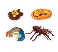 Animal Life Cycle Figures Educational, style to 4