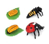Animal Life Cycle Models Educational, Ladybug growth cycle model set