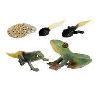 Animal Life Cycle Toys - Life Cycle Figurines Educational Toy Set | Realistic Animal Growth Cycles Models | Butterfly Turtle Frog Ant Learning Science Figures For Kids | Educational Toy