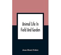 Animal Life In Field And Garden