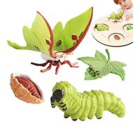 Animal Life Stage Figures - Realistic Growth Model Collection, Educational Transformation Kit, Interactive Teaching Aid Set, Classroom Science Learning Toy | Early Education Support, Biology