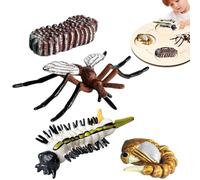 Animal Life Stage Figures - Realistic Growth Model Collection, Educational Transformation Kit, Interactive Teaching Aid Set, Classroom Science Learning Toy | Early Education Support, Biology