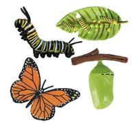 Animal Life Stage Figures - Realistic Growth Model Collection, Educational Transformation Kit, Interactive Teaching Aid Set, Classroom Science Learning Toy | Early Education Support, Biology