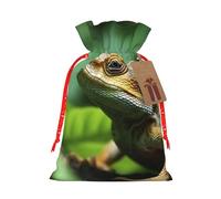 Animal Lizard Christmas Gift Bags with Tags & Ribbon Ties, Xmas Drawstring Candy Treat Bag Christmas Gifts Sacks Reusable Gift Wrapping Bags for Holiday Party Favors Small