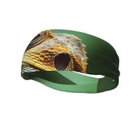 Animal Lizard Sports Sweatband Head Bands for Women Men, Lightweight Breathable Non Slip Workout Headbands Hairband for Fitness Running Cycling Hiking Yoga