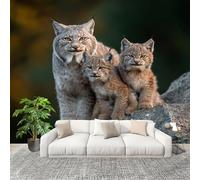 Animal Lynx Family Mural Wallpaper for Living Room TV Backdrop Office Hotel Wall Decoration Poster Animal Wall Panoramic Mural Non-Woven Photo Wallpaper 200x140cm