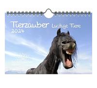 Animal Magic Funny Animals DIN A5 Wall Calendar for 2024 Funny Moments with Animals Seelenzauber