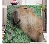 Animal Meadow Capybara Sherpa Fleece Blanket 100x130 cm, Reversible Soft Cosy Warm Fluffy Throw Blanket, Throw Blanket for Bed Sofa Chairs, Throw Blanket as Gifts for Kids, Adult