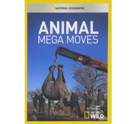 Artist Not Provided - Animal Mega Moves [DVD] [Region 1] [US Import] [NTSC]