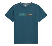 Animal Mens Jacob Distressed Logo T-Shirt - Teal - M - Teal