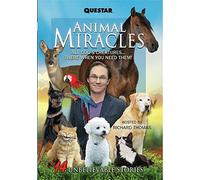 Animal Miracles