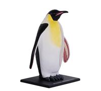 Animal Model, 4D Emperor Penguin Anatomy Model Disassemble Animal Organ Anatomy Model DIY Popular Science Appliances