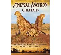Animal Nation: Cheetahs- The Whole Story [DVD]