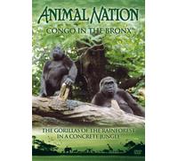 Animal Nation: Congo In The Bronx - Gorillas [DVD]