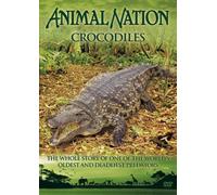 Animal Nation: Crocodiles [DVD] [2000]