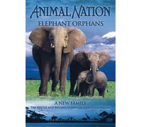 Animal Nation: Elephant Orphans [DVD]