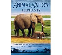 Animal Nation: Elephants - The Whole Story [DVD]