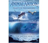Animal Nation: Feast Of Predators - The Sardine Run [DVD]