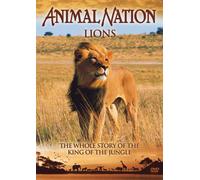 Animal Nation: Lions - The Whole Story [DVD]