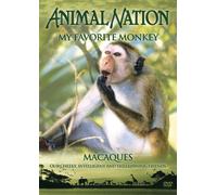 Animal Nation: My Favourite Monkey - Macaques [DVD]