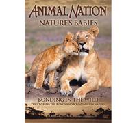Animal Nation: Nature's Babies - Bonding In The Wild [DVD]