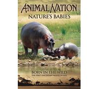 Animal Nation: Nature's Babies - Born In The Wild [DVD]