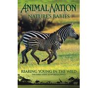 Animal Nation - Nature's Babies: Rearing Young in the Wild [DVD]