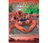 Animal Nation - Red Crabs Crazy Ants [DVD]