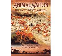 Animal Nation - The Ant That Ate America [DVD]