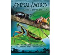 Animal Nation: World's Biggest And Baddest Bugs [DVD]