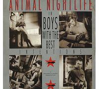 Animal Nightlife - BOYS WITH THE BEST INTENTIONS 7 INCH (7" VINYL 45) UK TEN 1987