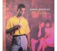 Animal Nightlife - Mr Solitaire - Island Records