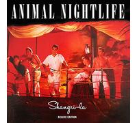 Animal Nightlife - Shangri-la