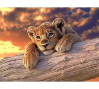 Animal Paint by Numbers for Adults Beginner with Frame, Lion Painting by Numbers for Children, DIY Acrylic Oil Painting Number Kits Art Crafts, Hobbies for Adults Room Wall Decor 30x40 cm Q-5083
