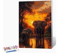 Animal Paint by Numbers for Adults Elephant Paint by Numbers Kits, Hobbies for Adults Women, DIY Acrylic Pigment Color Oil Drawing Kits Wall Art for Room Decor 12x16 Inch (Without Frame) -LKF07481H